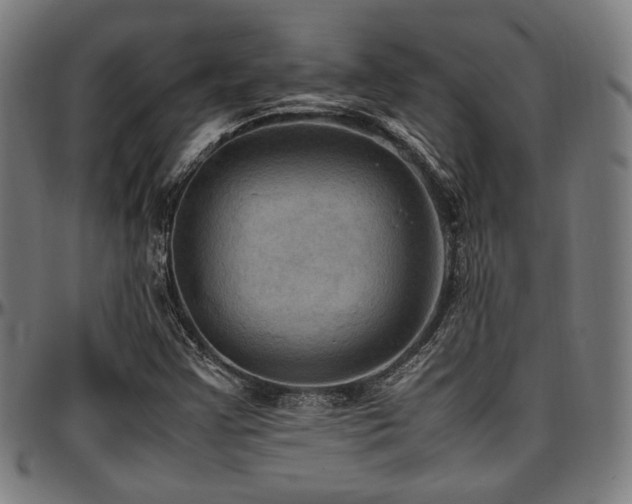 X0000097601355200802291233