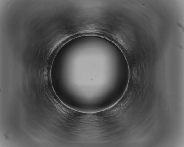 X0000097601356200802291233