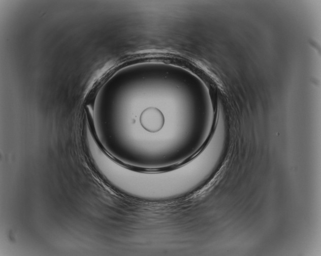 X0000097601357200802291233