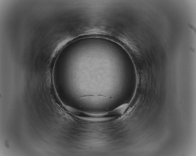 X0000097601358200802291233
