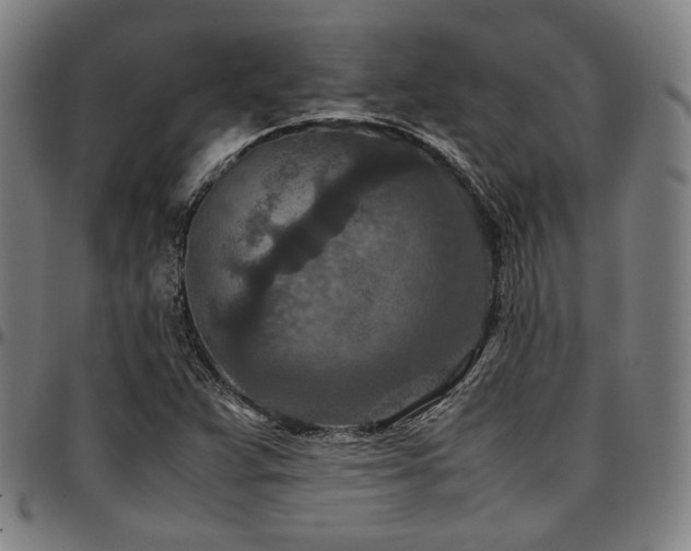 X0000097601359200802291233