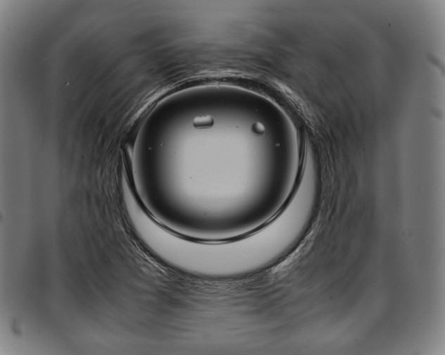 X0000097601361200802291233