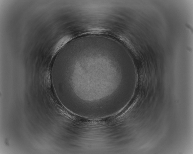 X0000097601362200802291233