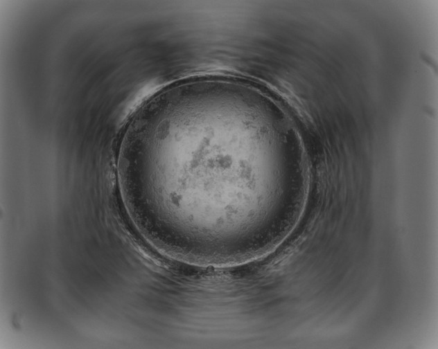 X0000097601363200802291233