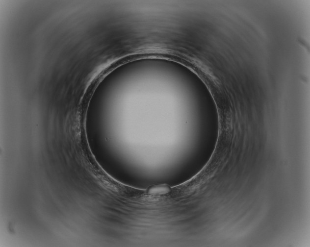 X0000097601364200802291233