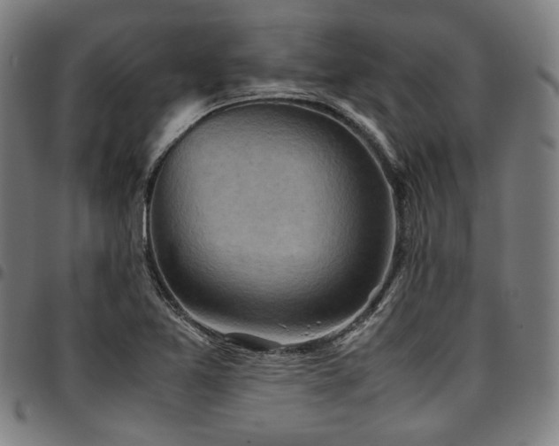 X0000097601365200802291233