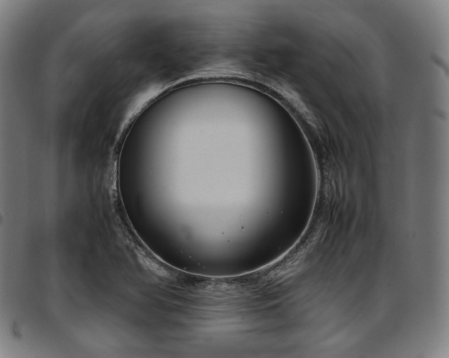 X0000097601366200802291233
