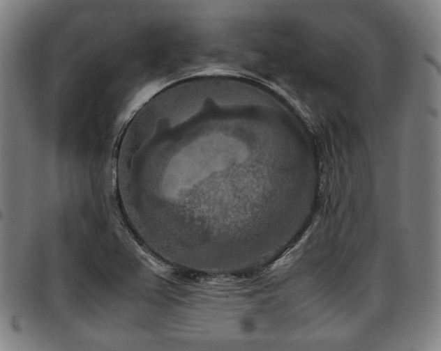 X0000097601367200802291233