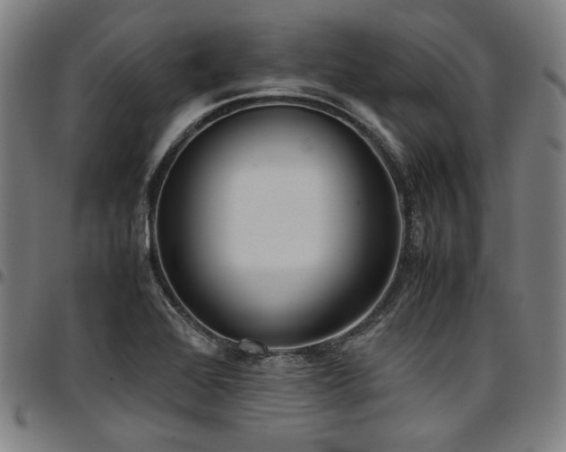 X0000097601368200802291233