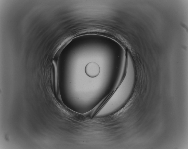 X0000097601369200802291233