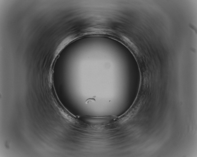 X0000097601370200802291233