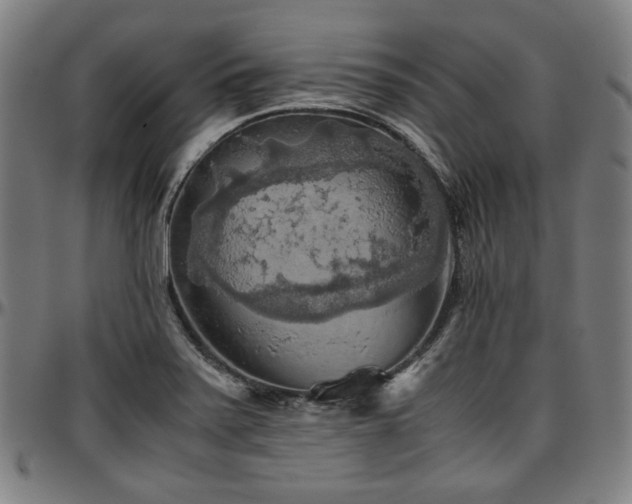 X0000097601371200802291233