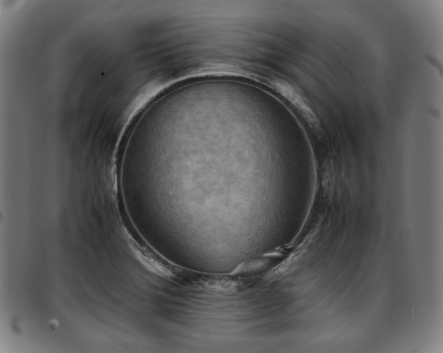 X0000097601372200802291233