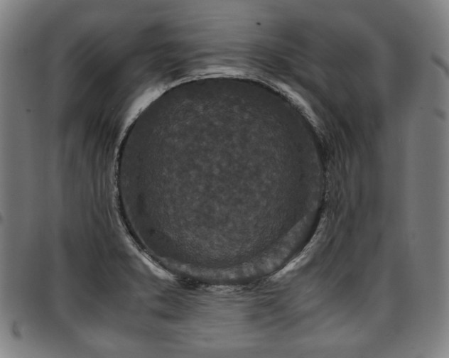 X0000097601373200802291233