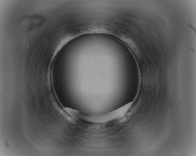 X0000097601374200802291233