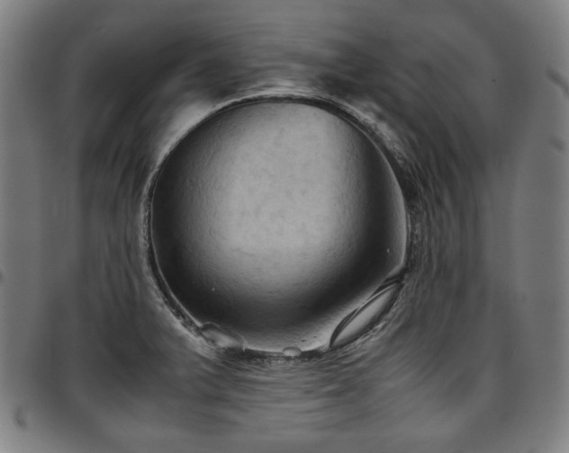 X0000097601375200802291233
