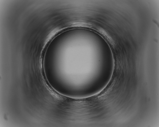 X0000097601376200802291233