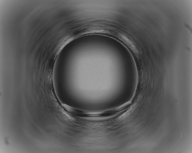 X0000097601377200802291233