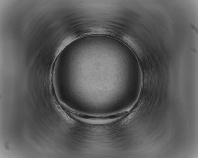 X0000097601378200802291233