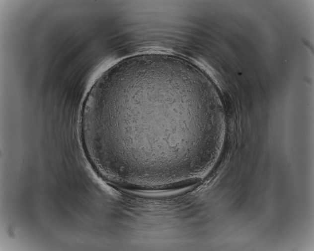 X0000097601379200802291233