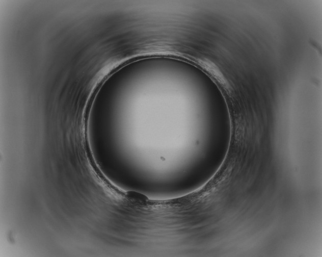 X0000097601380200802291233