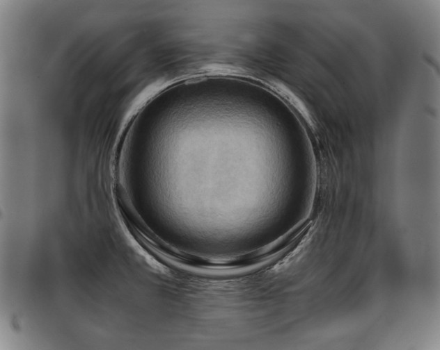 X0000097601381200802291233