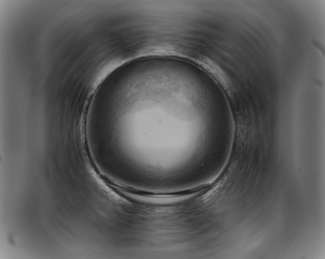 X0000097601382200802291233