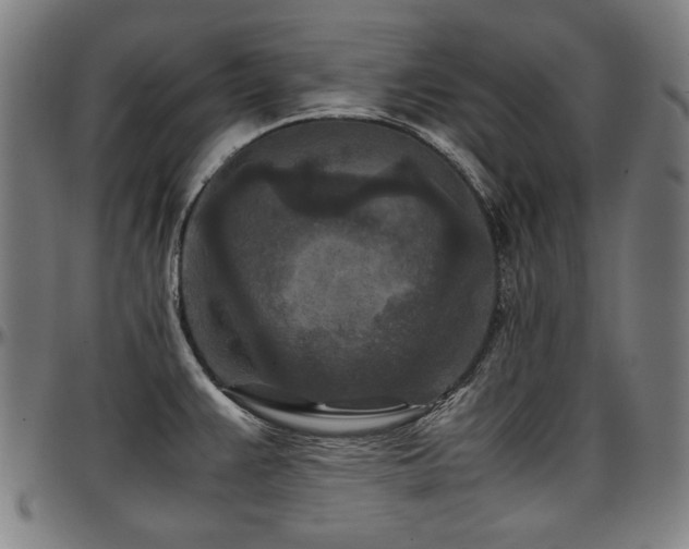 X0000097601383200802291233