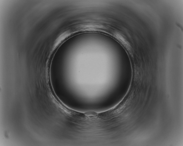 X0000097601384200802291233