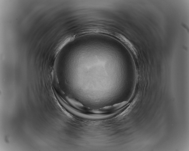 X0000097601385200802291233