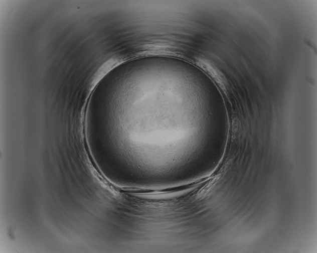 X0000097601386200802291233