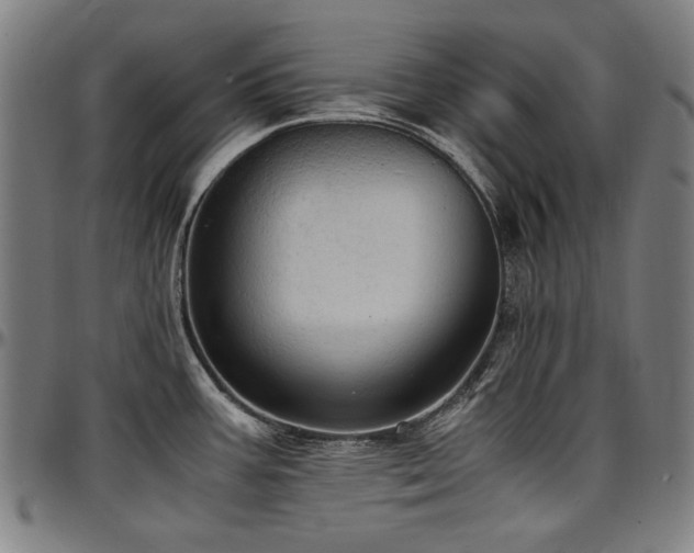 X0000097601387200802291233
