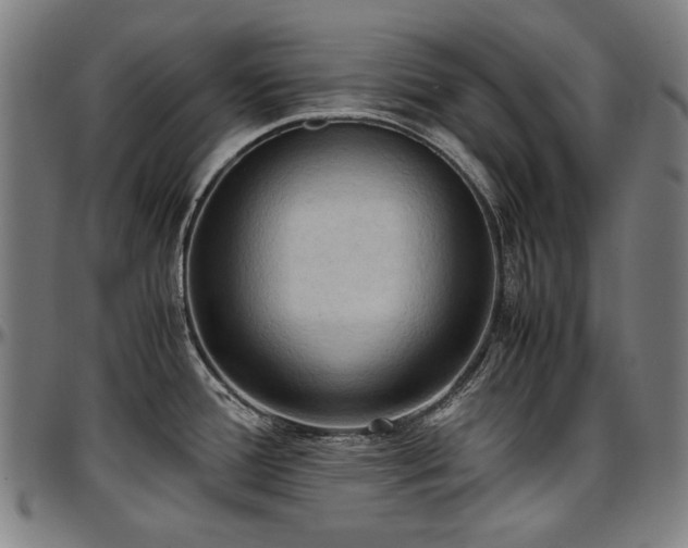 X0000097601388200802291233