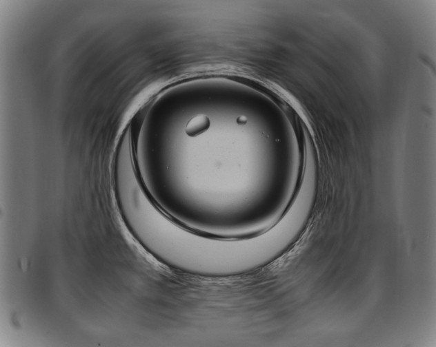 X0000097601389200802291233