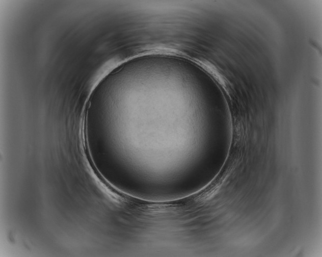 X0000097601391200802291233