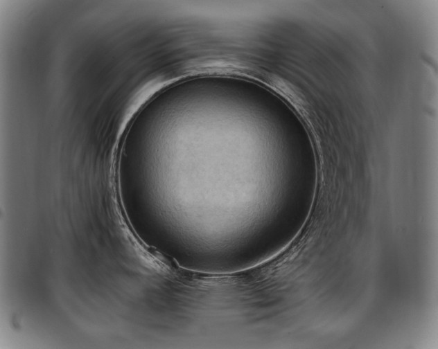 X0000097601392200802291233