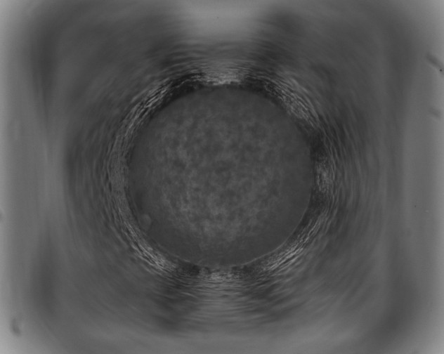 X0000097601393200802291232