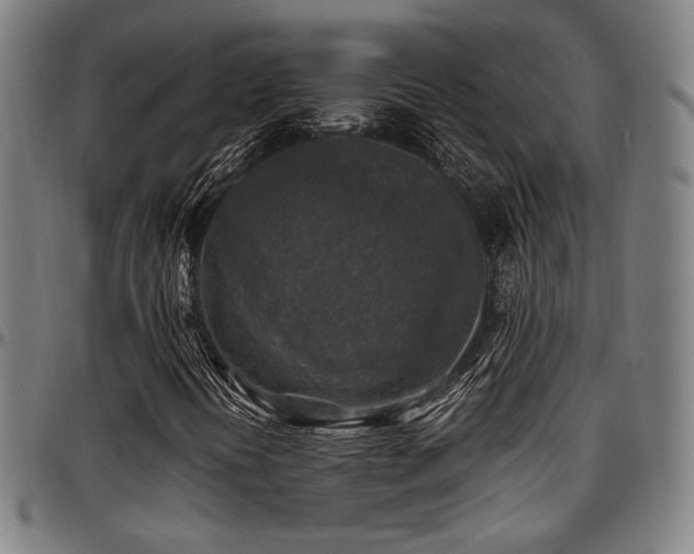 X0000097601394200802291232