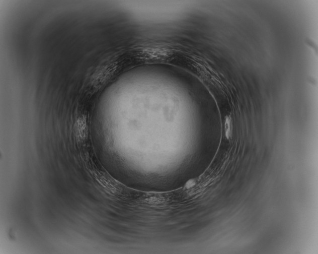 X0000097601395200802291232