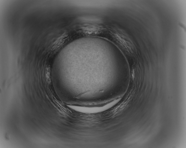X0000097601396200802291232