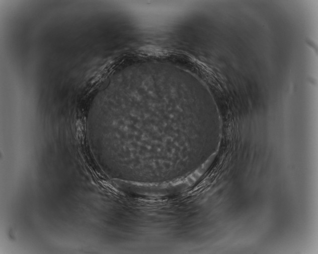 X0000097601397200802291232