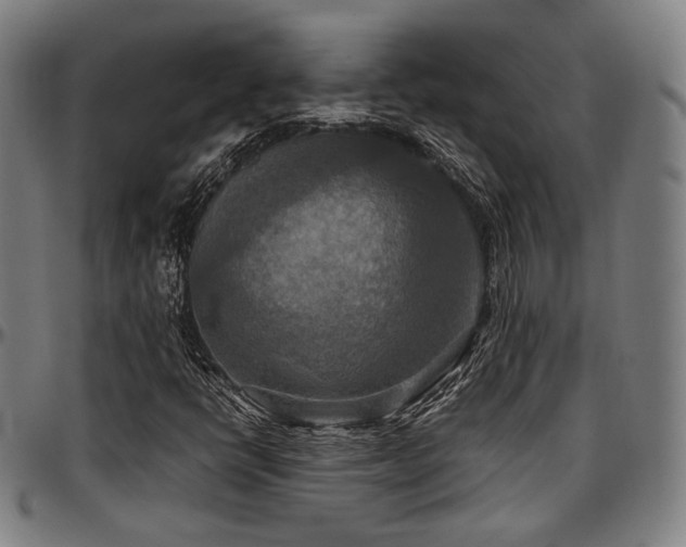 X0000097601398200802291232
