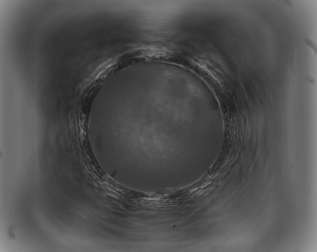 X0000097601399200802291232
