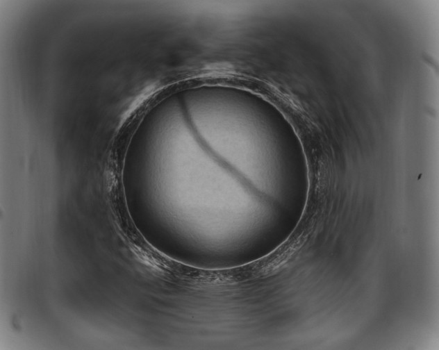 X0000097601400200802291232