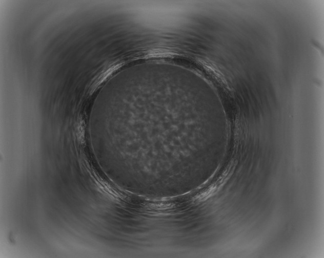 X0000097601401200802291232