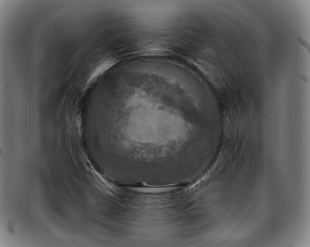 X0000097601402200802291232