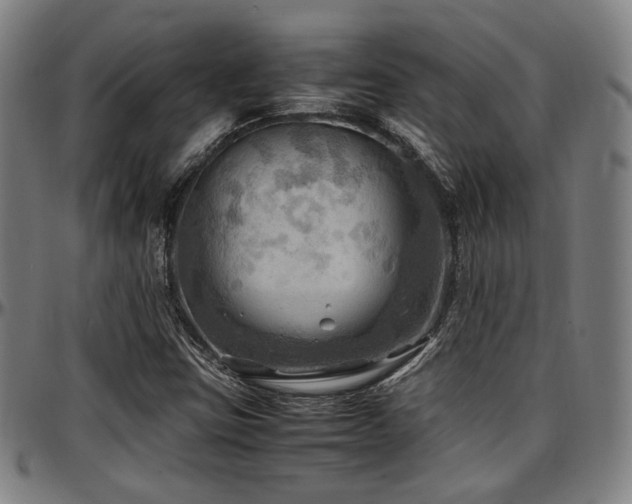 X0000097601403200802291232