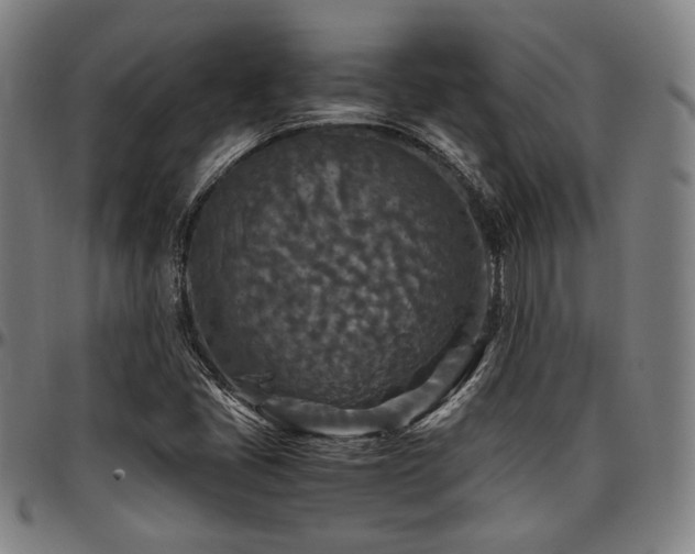 X0000097601405200802291232