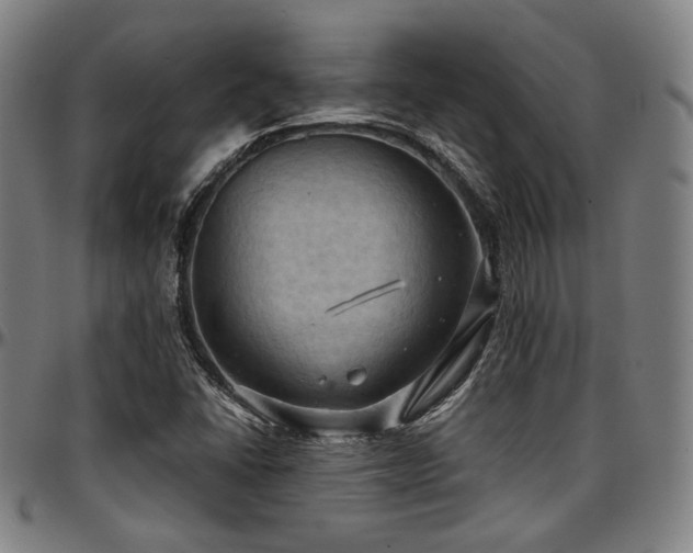 X0000097601406200802291232