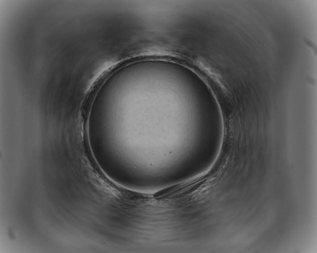 X0000097601408200802291232